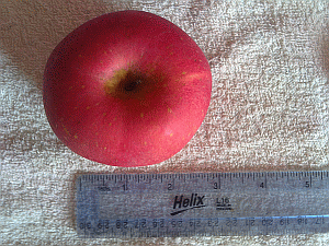 Image: Chinese Apples - Click to Enlarge