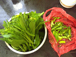 Image: Cheung Choi - Click to Enlarge