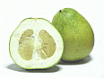 Image: Citrus Grandis or Chinese Grapefruit - Click for Details