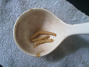 Image: Dong San - Click to Enlarge