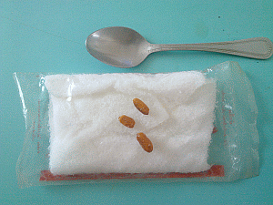 Image: Gay dZhee - Click to Enlarge