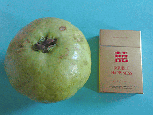 Fa Niem or Chinese apple/Pear - Click to Enlarge Image: Fa Niem or Chinese apple/Pear - Click to Enlarge