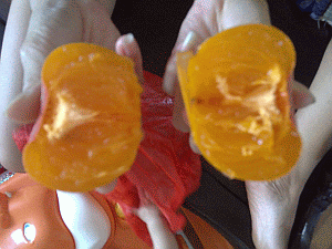 Image: Sharon Fruit, Persimmoms or 'Seei' - Click to Enlarge