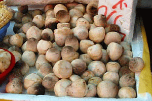 Image: Chinese straw mushrooms