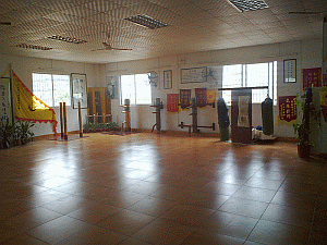 Image: Sim Wing Club 01 - click to enlarge