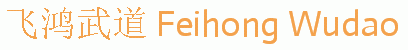 Image Logo: Foshan FeiHong Wudao