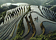 Rice Terraces near YangShuo, Guilin