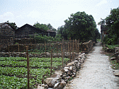 Image: Village Allotment 2