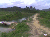 Image: Irrigation Channel