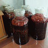 Image: Siu Ying's home brewing has now increased to 20 gallons - Click to Enlarge